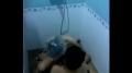 คู่รักไทยอาบน้ำด้วยกัน ตั้งกล้องถ่ายแล้วเย็ดอย่างเสียว - ภาพตัวอย่าง 21